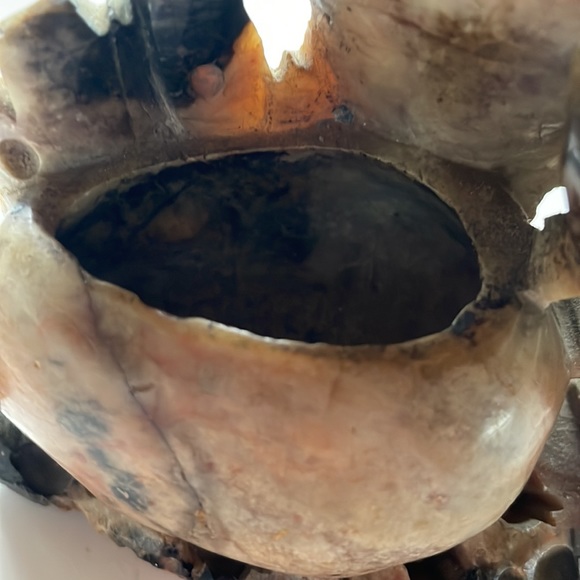 VTG 1940’s Chinese Brush Washer - Picture 6 of 7